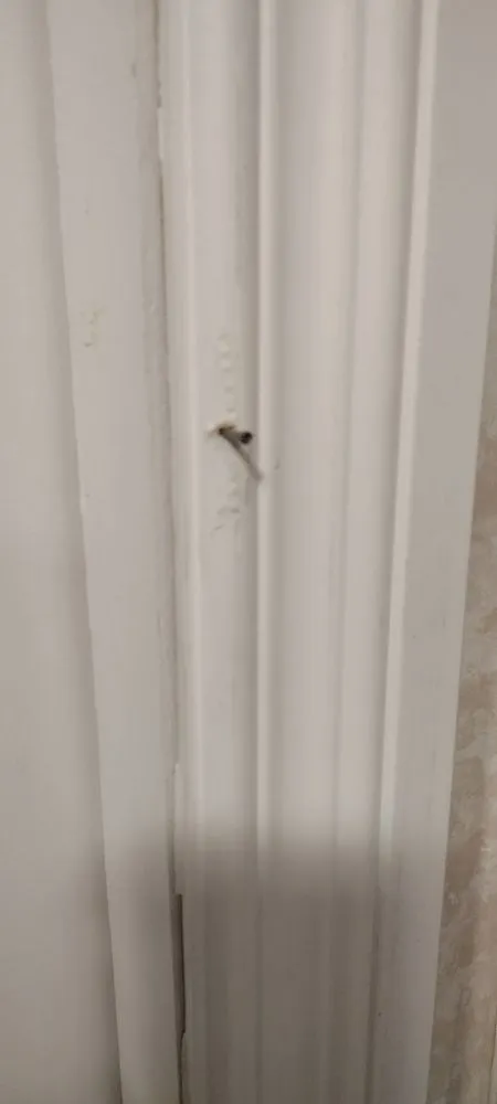 Slide of 1-800-HANSONS