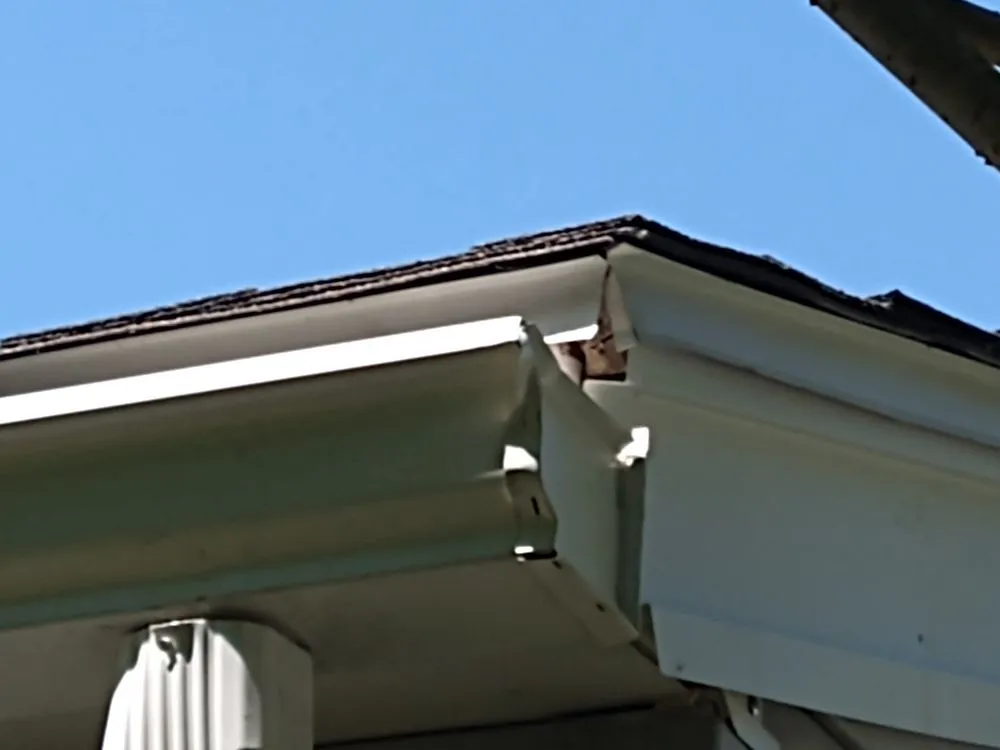 Slide of 1-800-HANSONS