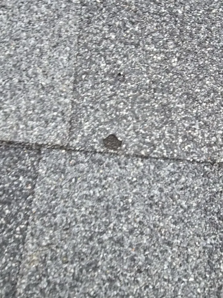 Slide of 1-800-HANSONS