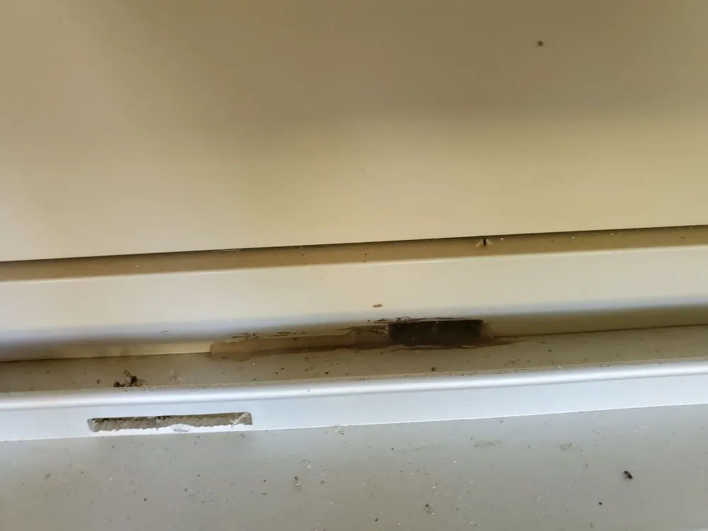 Slide of 1-800-HANSONS