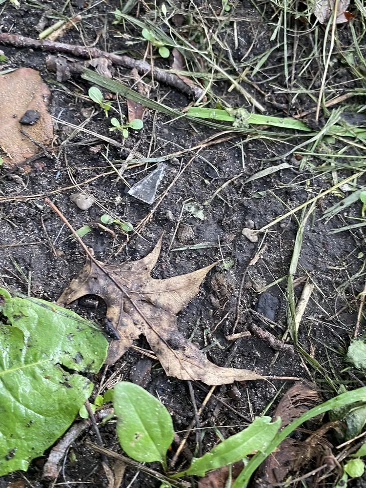 Slide of 1-800-HANSONS