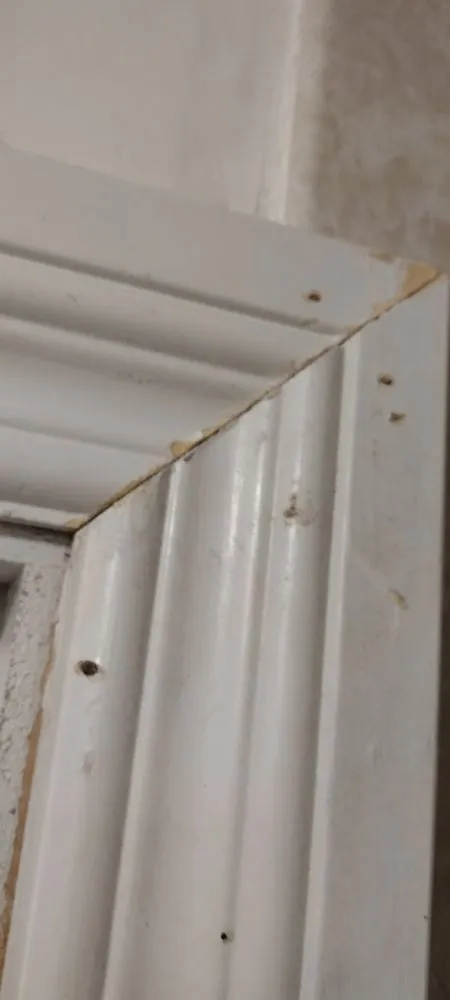 Slide of 1-800-HANSONS