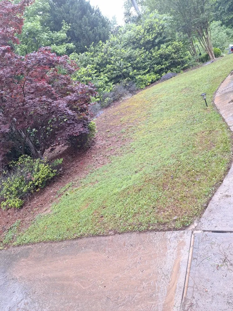 Slide of 1 Team 1 House