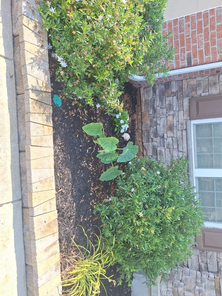 Slide of 1 Team 1 House