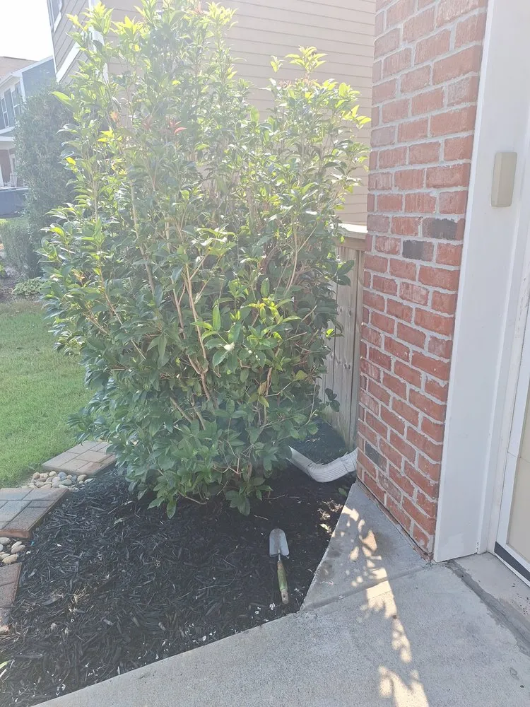 Slide of 1 Team 1 House