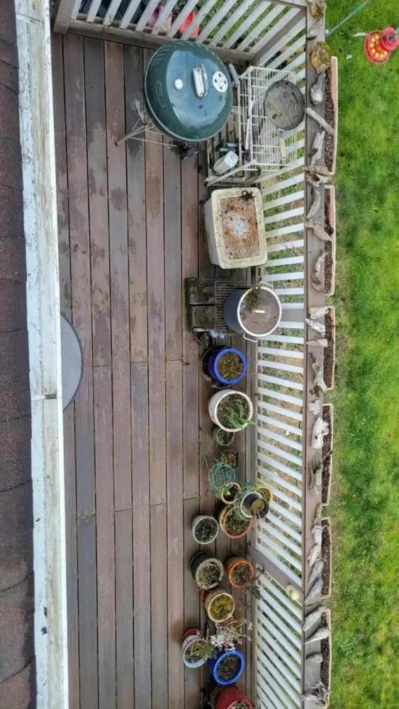Slide of 101 Roof Cleaning