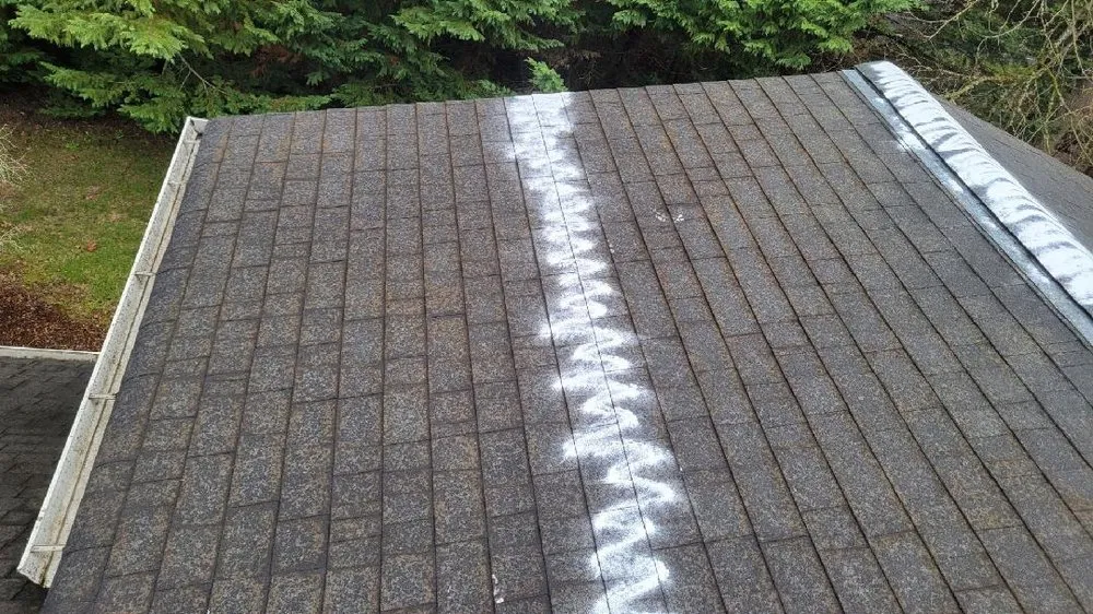 Slide of 101 Roof Cleaning
