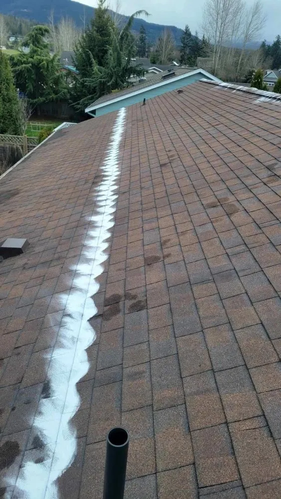 Slide of 101 Roof Cleaning