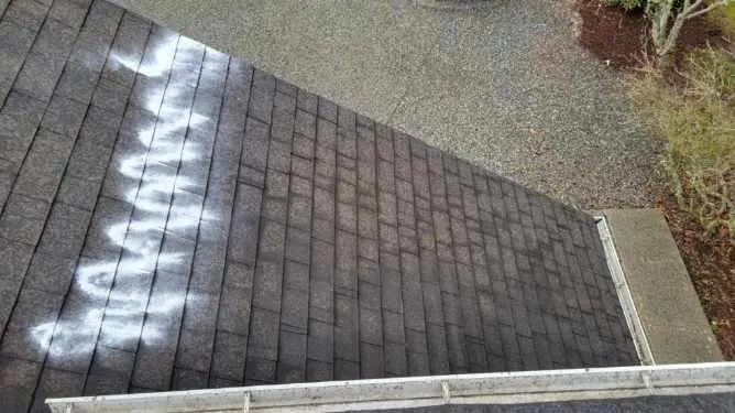 Slide of 101 Roof Cleaning
