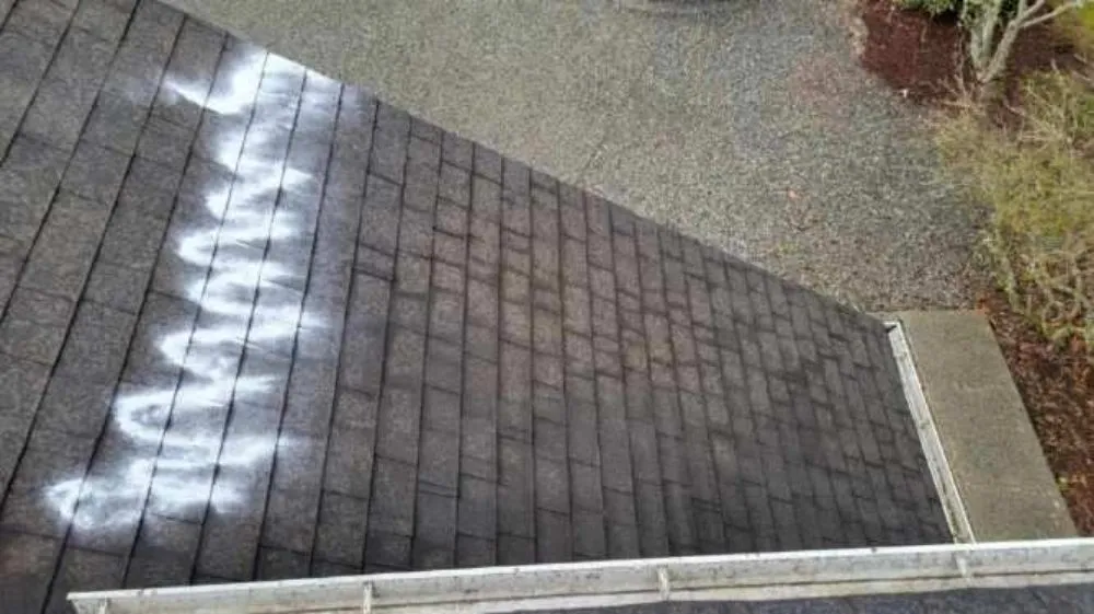 Slide of 101 Roof Cleaning