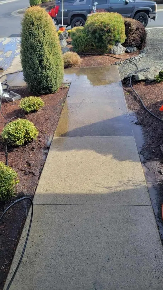 Slide of 101 Roof Cleaning