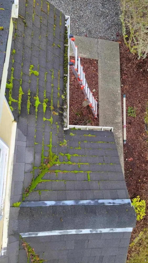 Slide of 101 Roof Cleaning