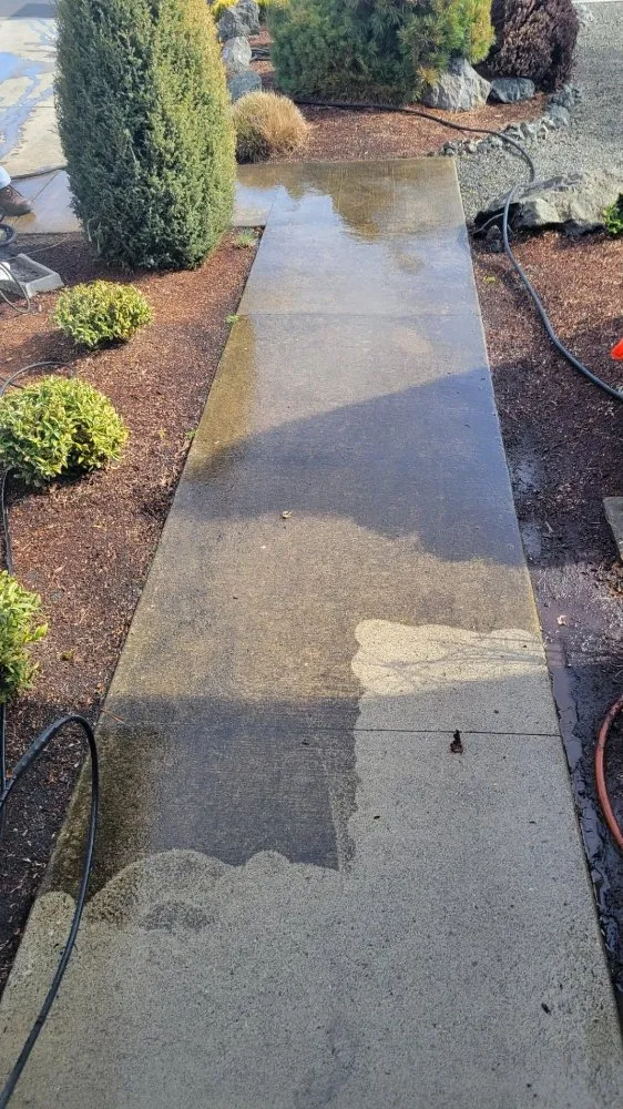 Slide of 101 Roof Cleaning