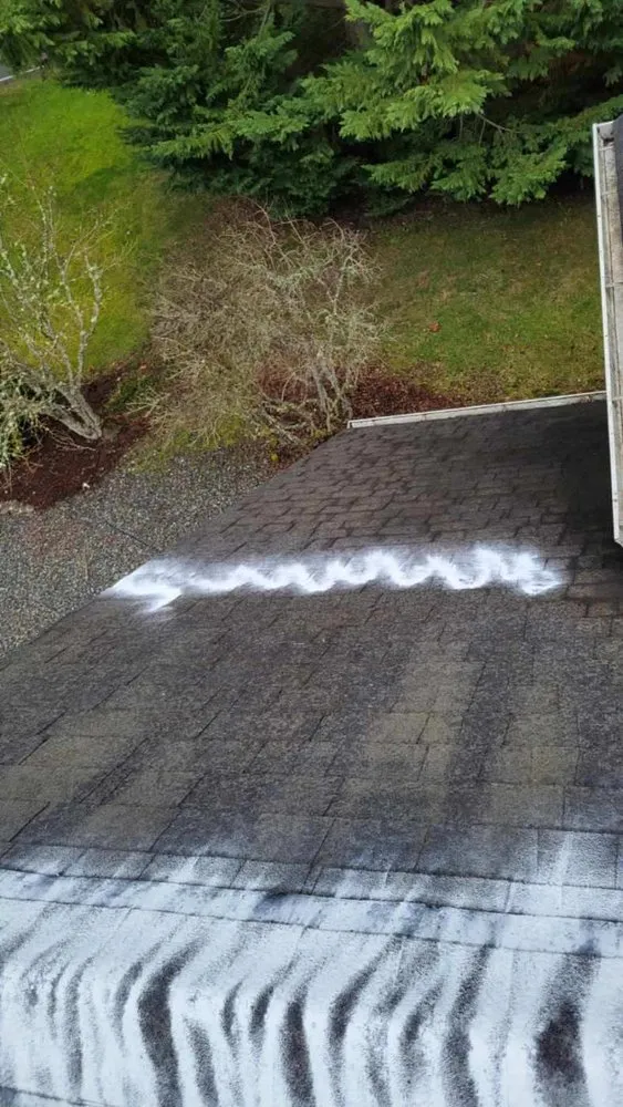 Slide of 101 Roof Cleaning