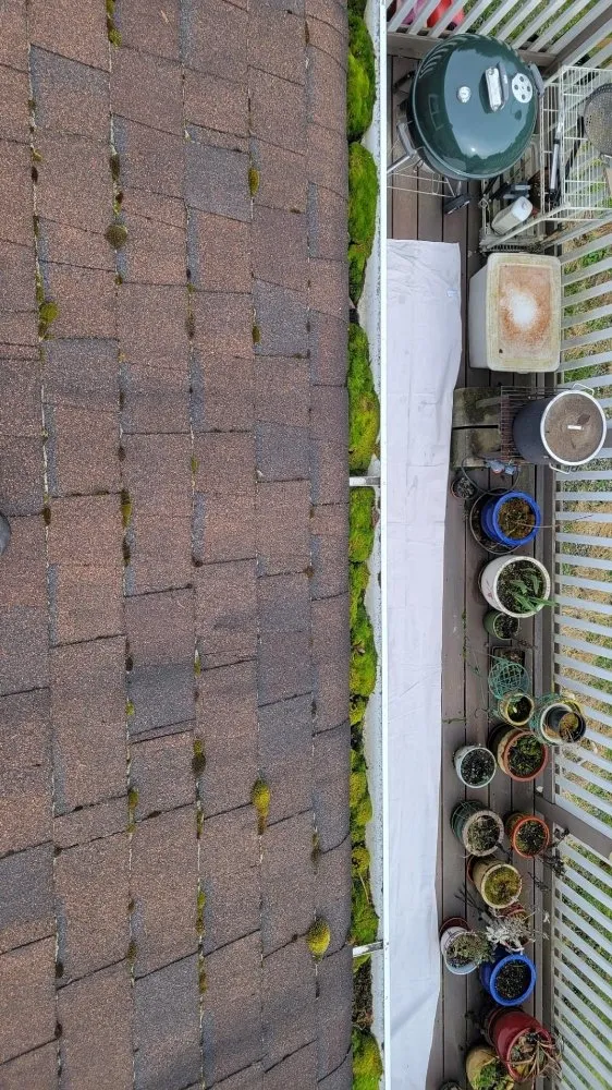 Slide of 101 Roof Cleaning