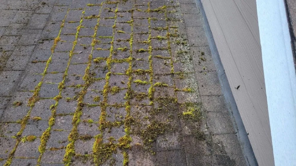 Slide of 101 Roof Cleaning