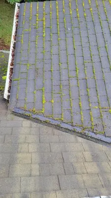 101 Roof Cleaning