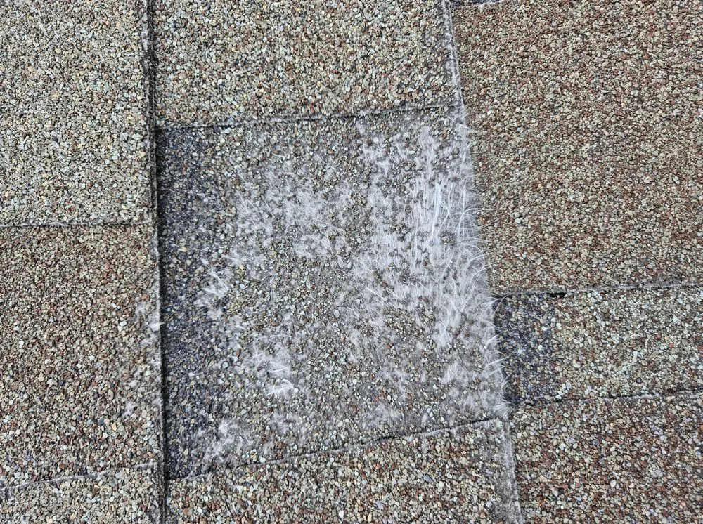 Slide of 1017 Construction