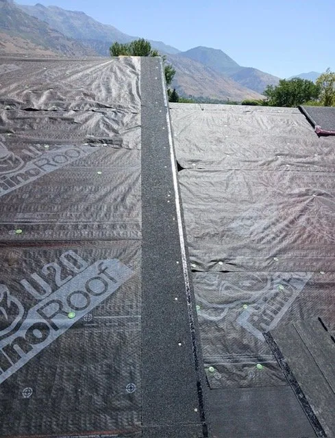 Slide of 1Solar Roofing