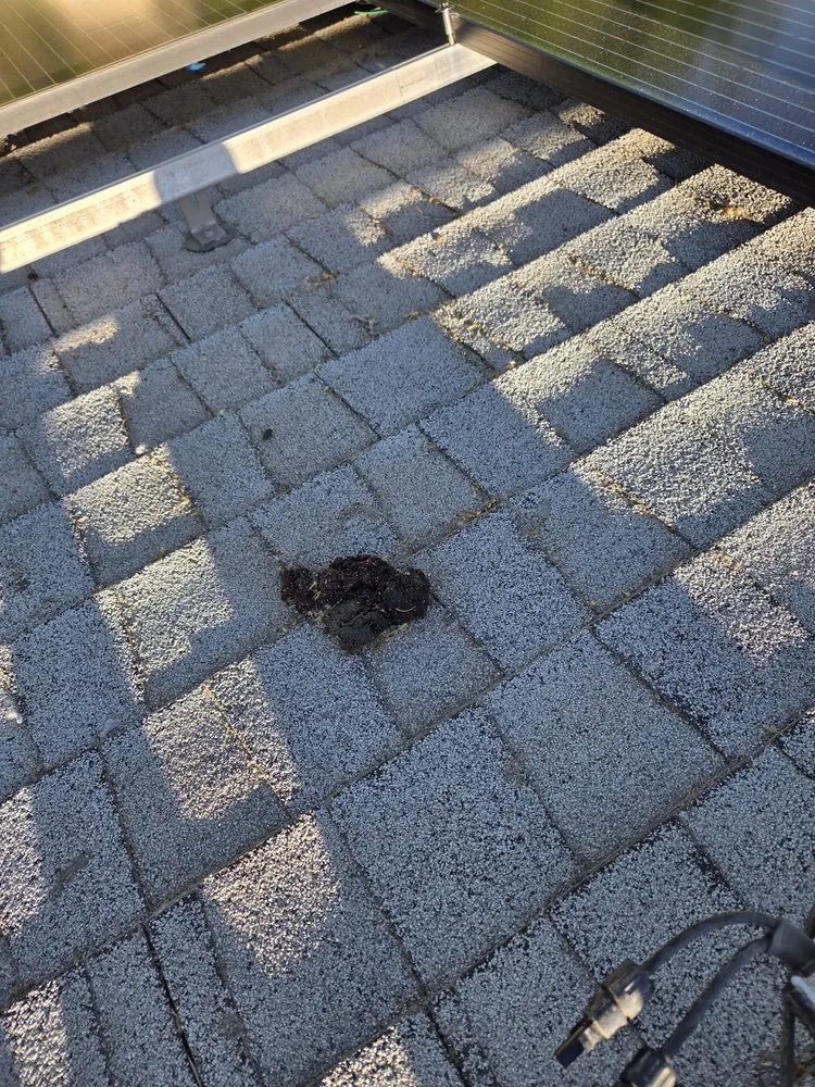 Slide of 1Solar Roofing