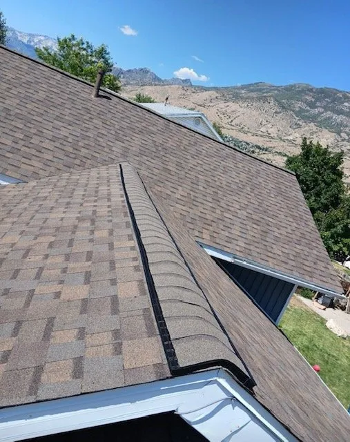 Slide of 1Solar Roofing