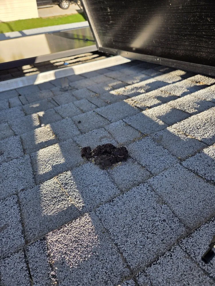 Slide of 1Solar Roofing