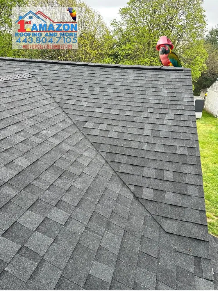 Slide of 1st Amazon Construction Services