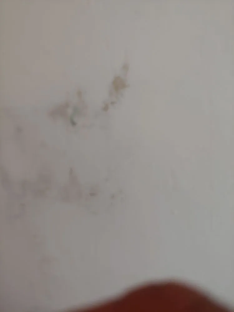 Slide of 1st Call Home Improvements