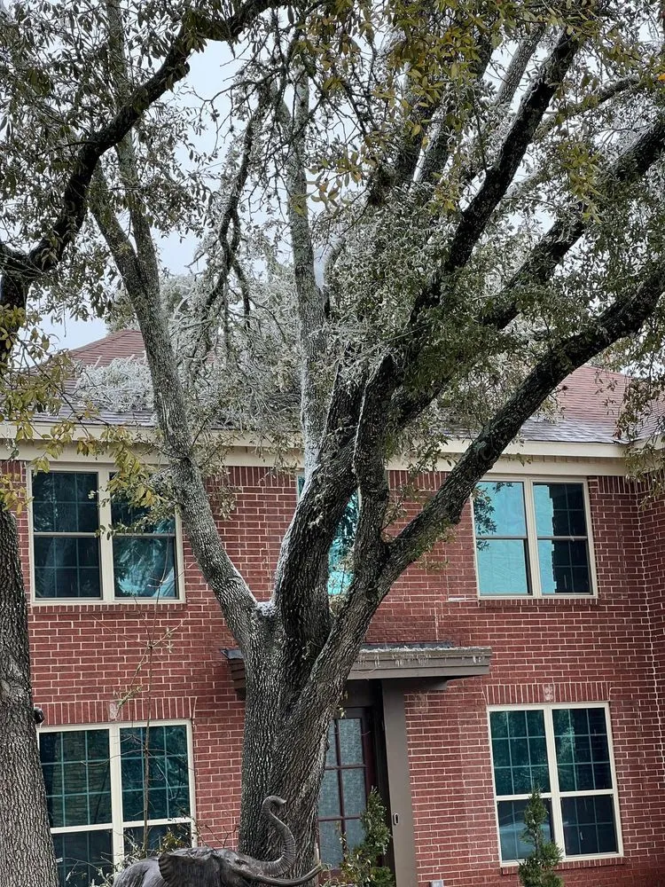 Slide of 1st Capital Certified Roofing