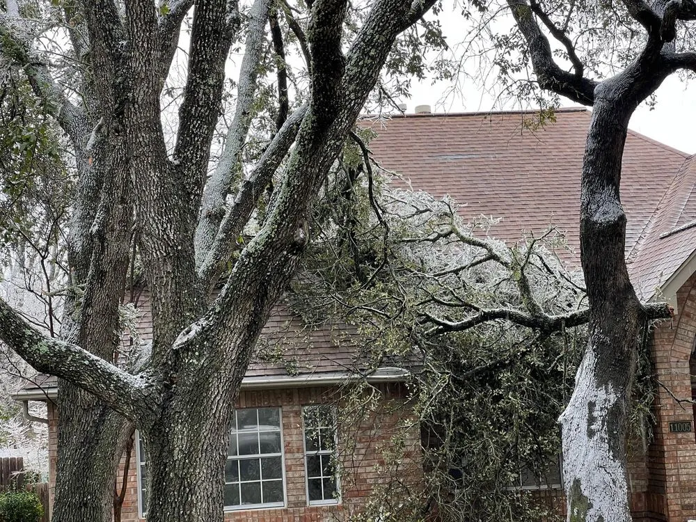 Slide of 1st Capital Certified Roofing