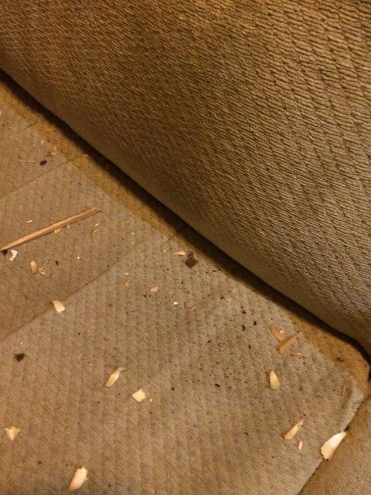 Slide of 1st Choice Contracting