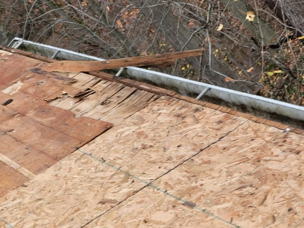 Slide of 1st Daylight Exteriors