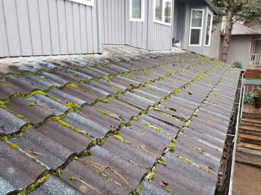 Slide of 1st Rate Roof Care & Mainenance