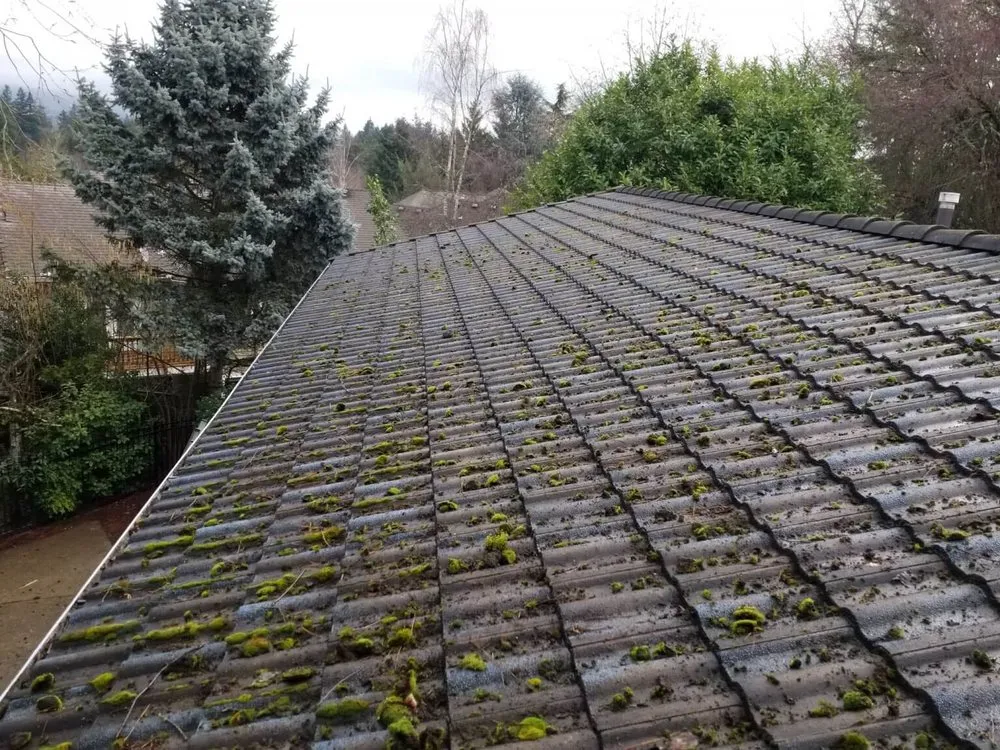 Slide of 1st Rate Roof Care & Mainenance