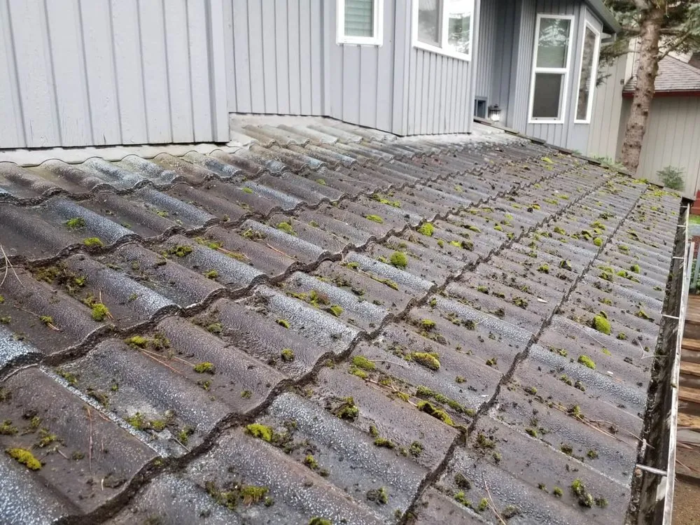 Slide of 1st Rate Roof Care & Mainenance