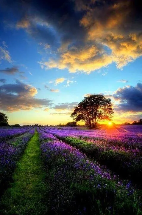 Expert shingle roofing service after storm damage across Ofallon, IL - 1st Source Contractors