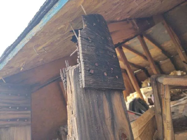 Slide of 2 Dawgs Roofing