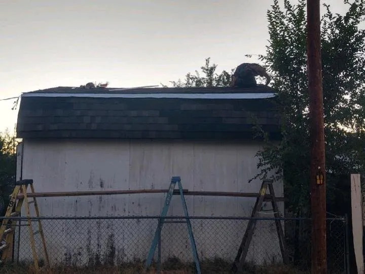 Slide of 2 Dawgs Roofing