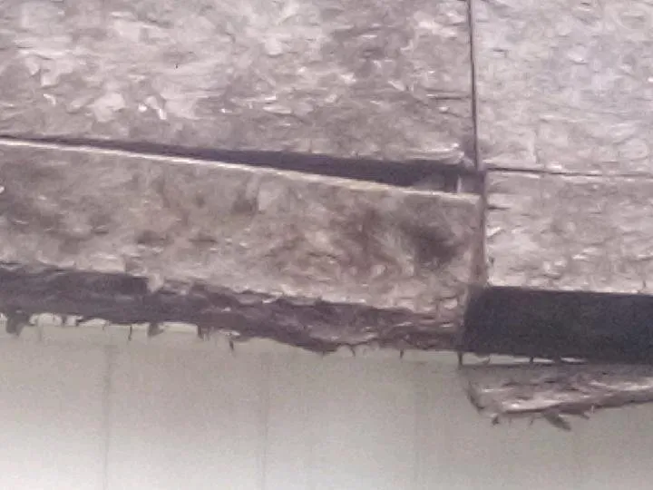 Slide of 2 Dawgs Roofing