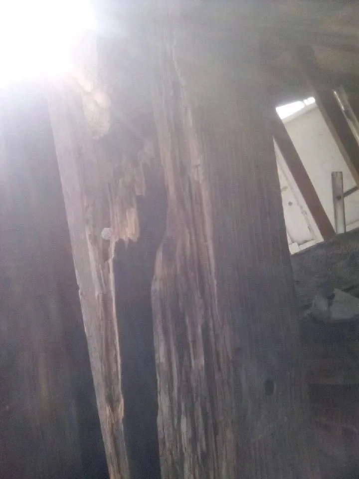 Slide of 2 Dawgs Roofing