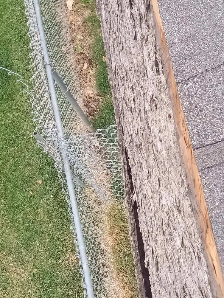 Slide of 2 Dawgs Roofing