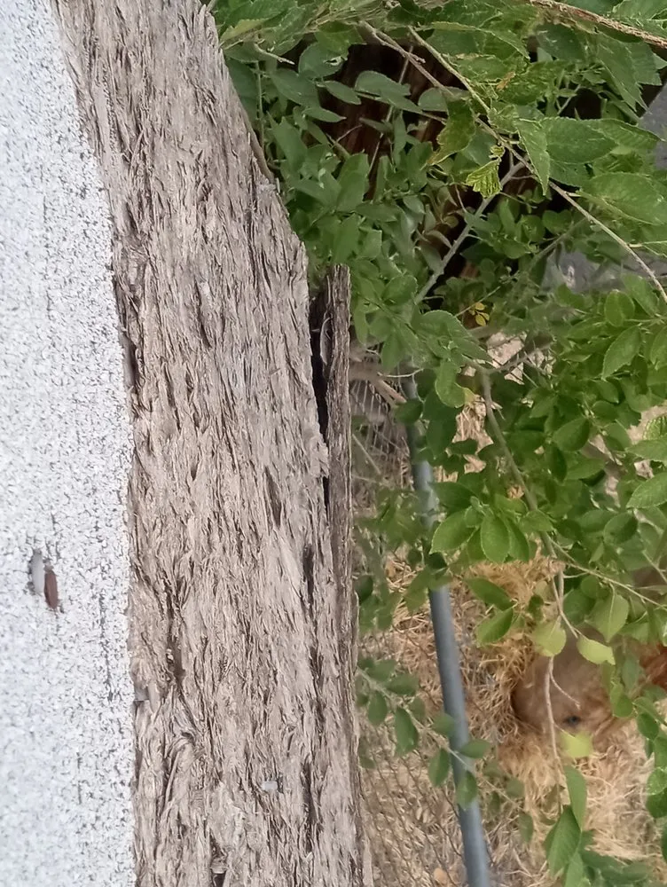 Slide of 2 Dawgs Roofing