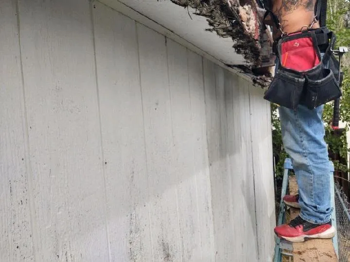 Slide of 2 Dawgs Roofing