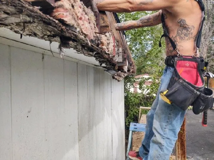 Slide of 2 Dawgs Roofing