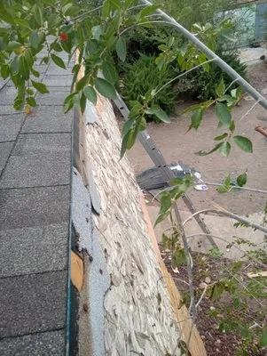 2 Dawgs Roofing Logo