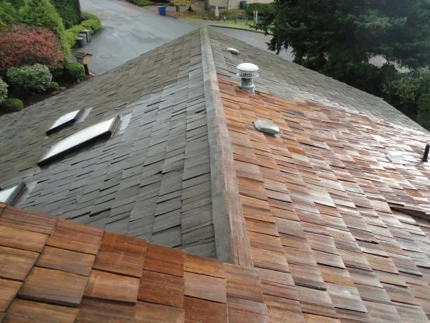 Slide of 208 Roof Repair