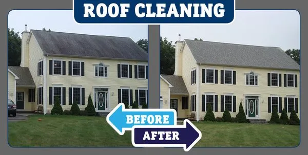 208 Roof Repair Logo