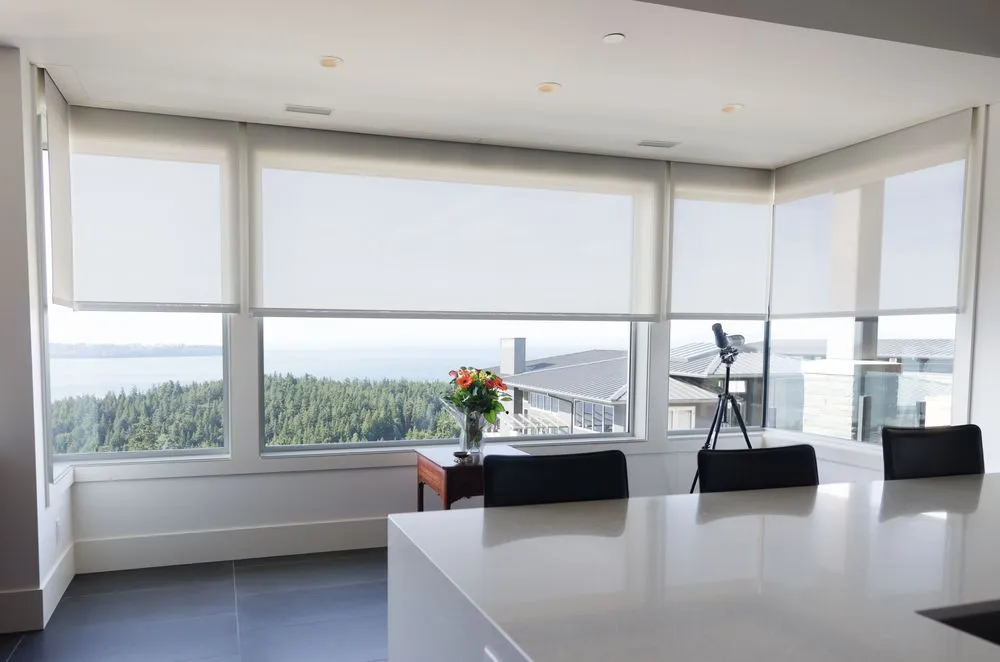 Slide of 21st Century U S Sino Service