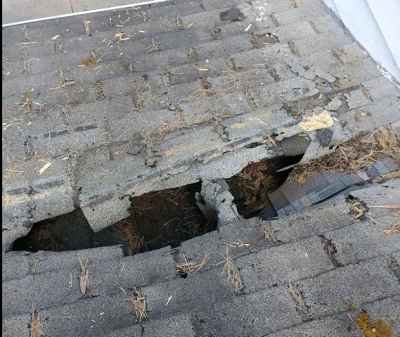 Slide of 24 Kt Construction