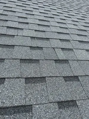251 Roofing